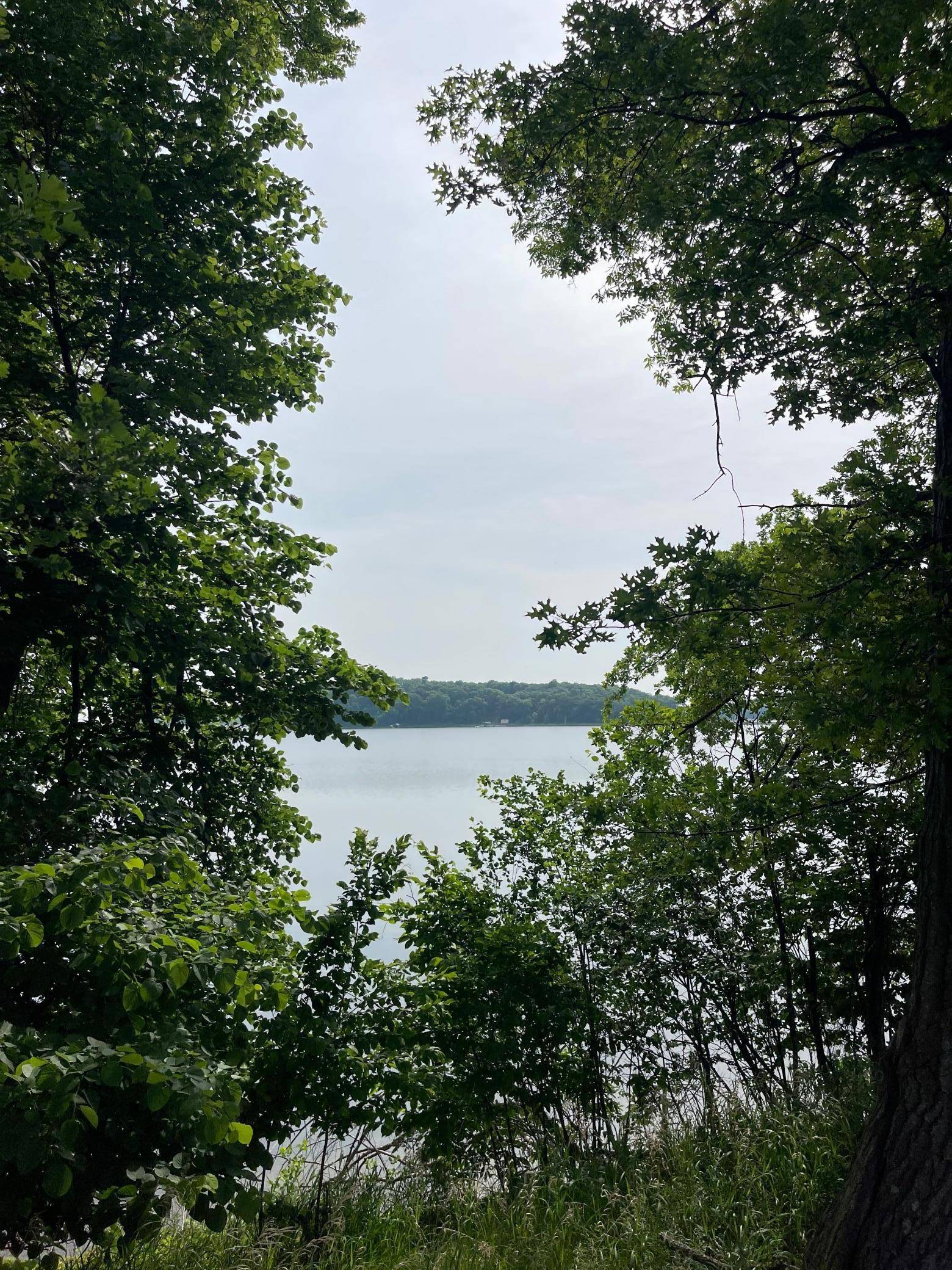 Perham, MN 56573,456xx Devils Lake RD