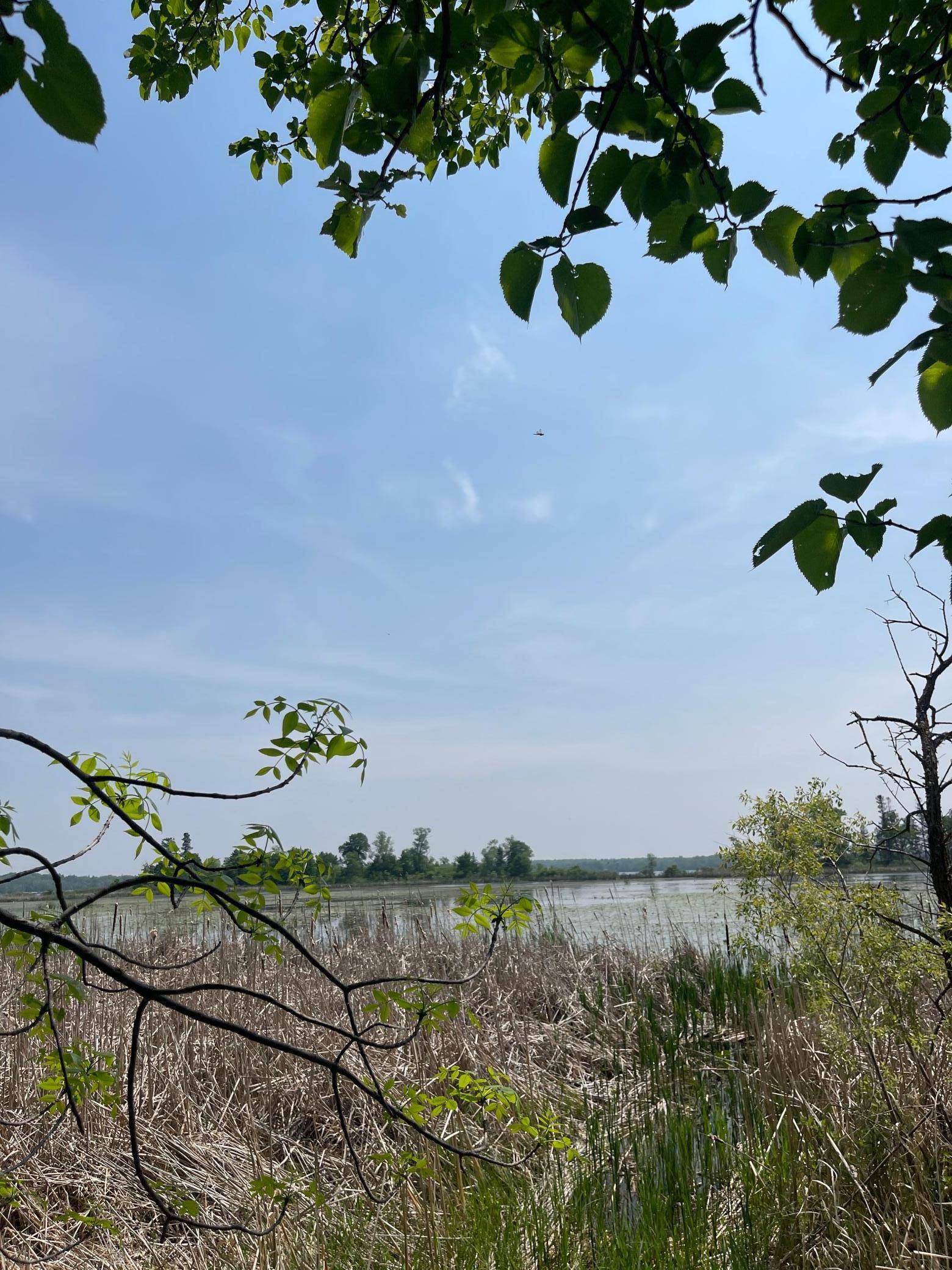 Osage, MN 56570,21xxx W Toad Lake DR