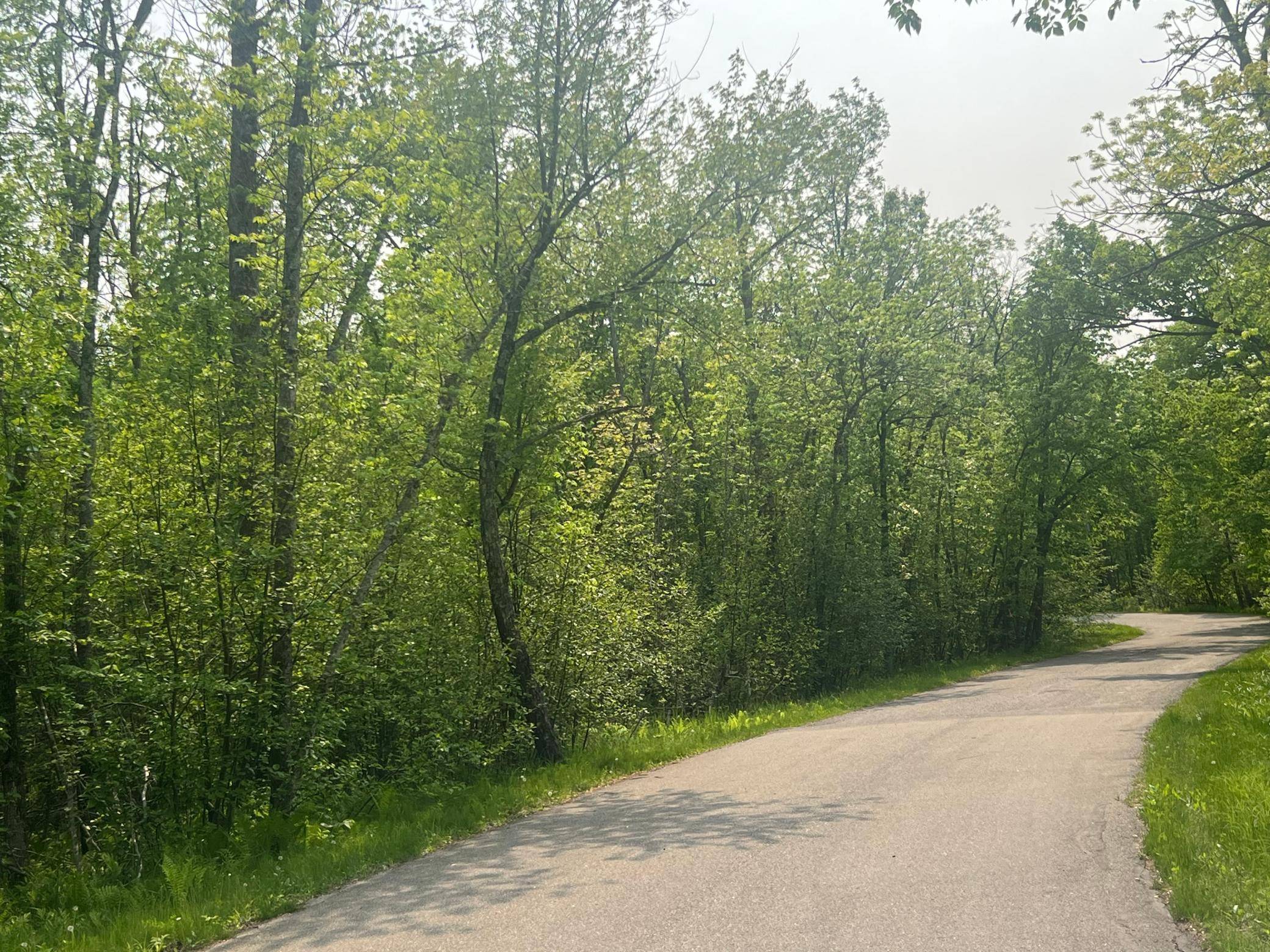 Lake Shore, MN 56468,TBD Dettbarn Rd.