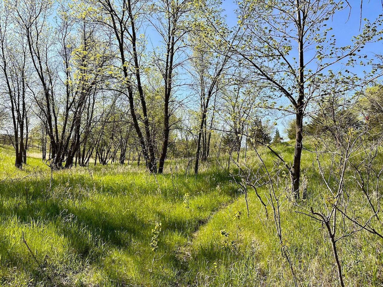 Little Sauk Twp, MN 56378,XXX US-71