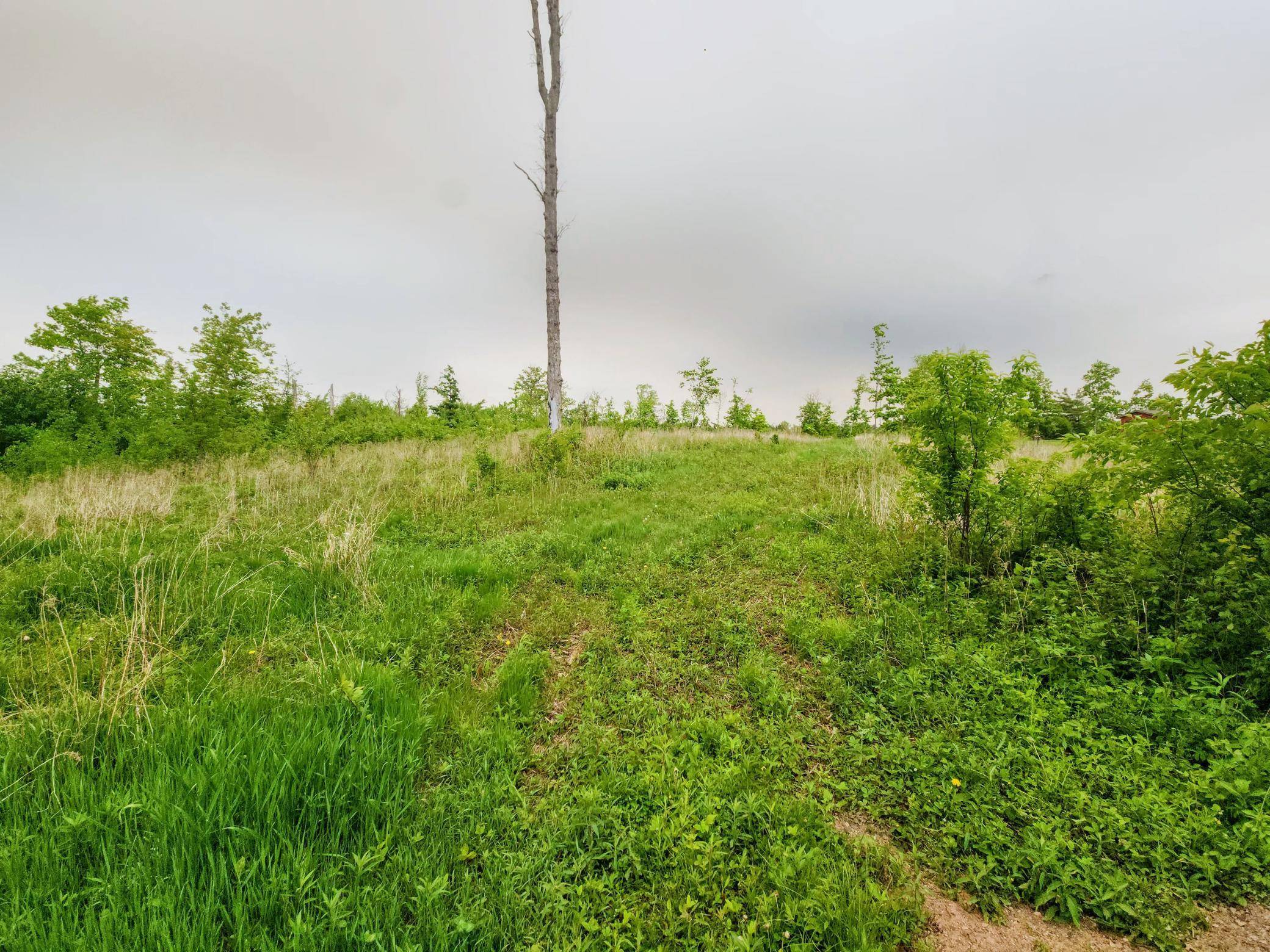 Crystal Lake Twp, WI 54889,10B 1 1/4 ST