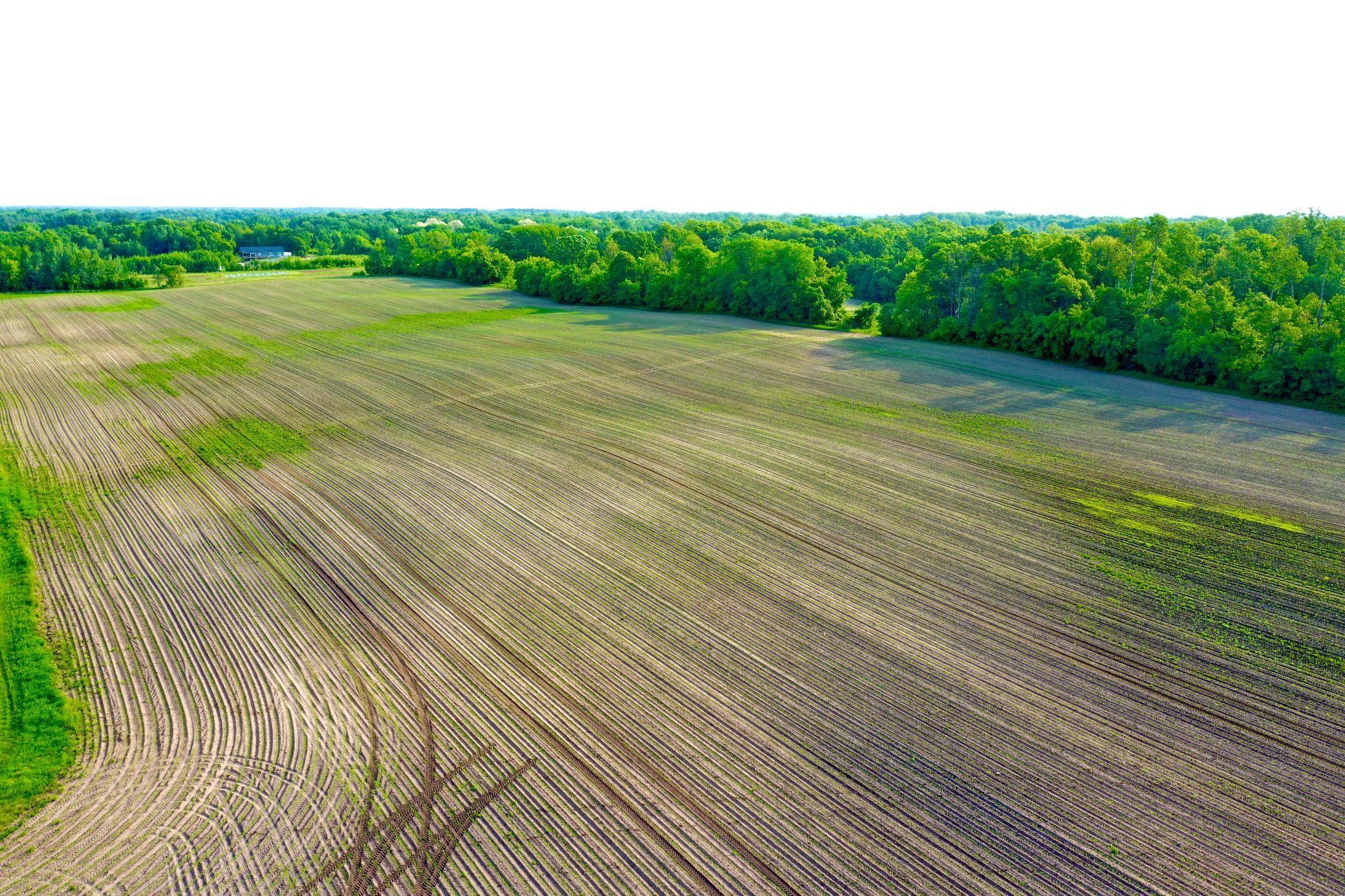 Sunrise Twp, MN 55032,NA 465th ST