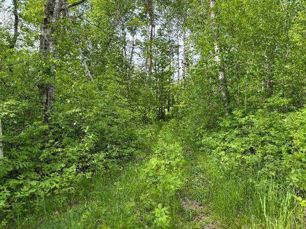 Detroit Lakes, MN 56501,TBD Co Rd 141