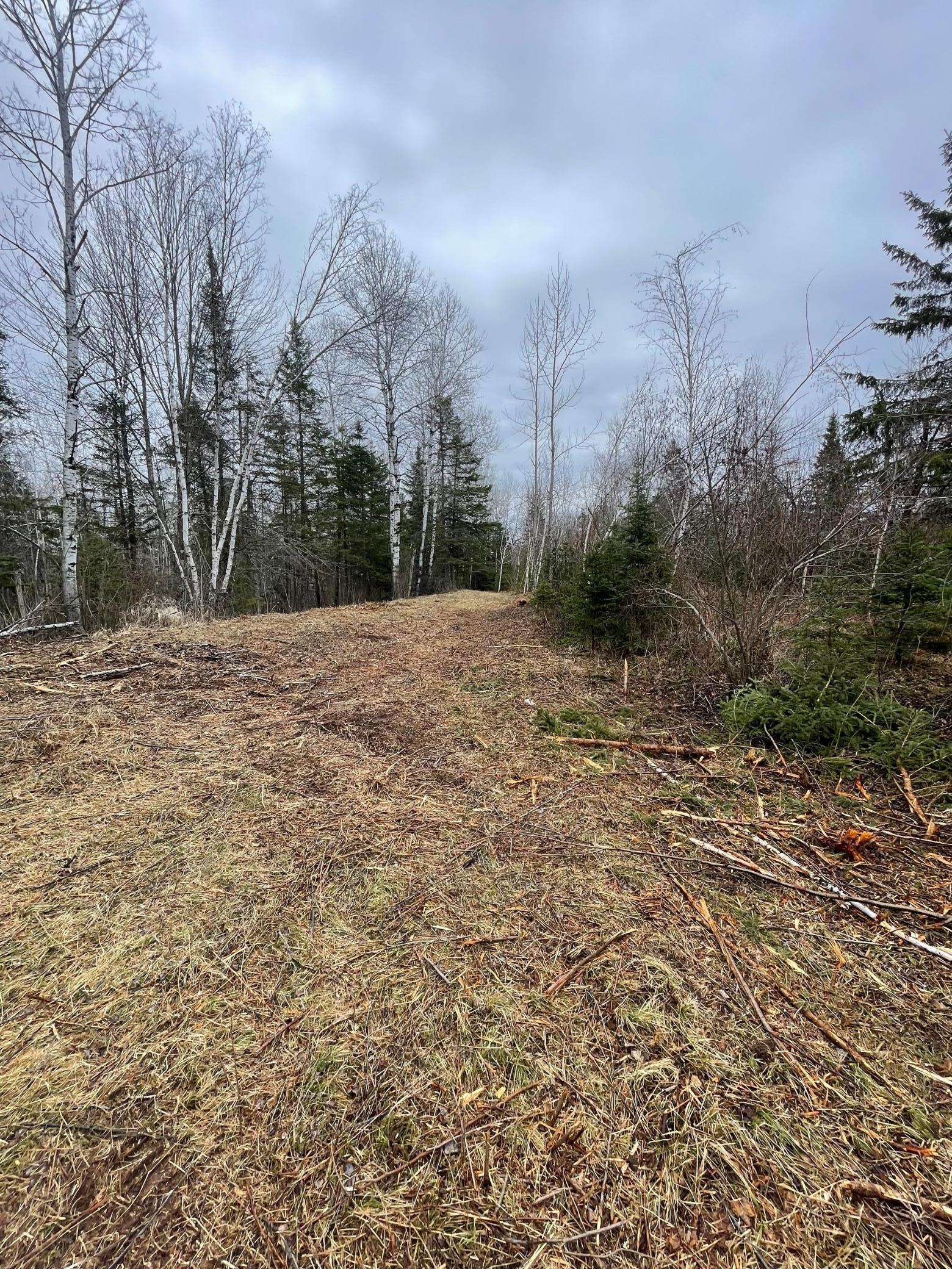 Holyoke Twp, MN 55749,XXX Zinter RD