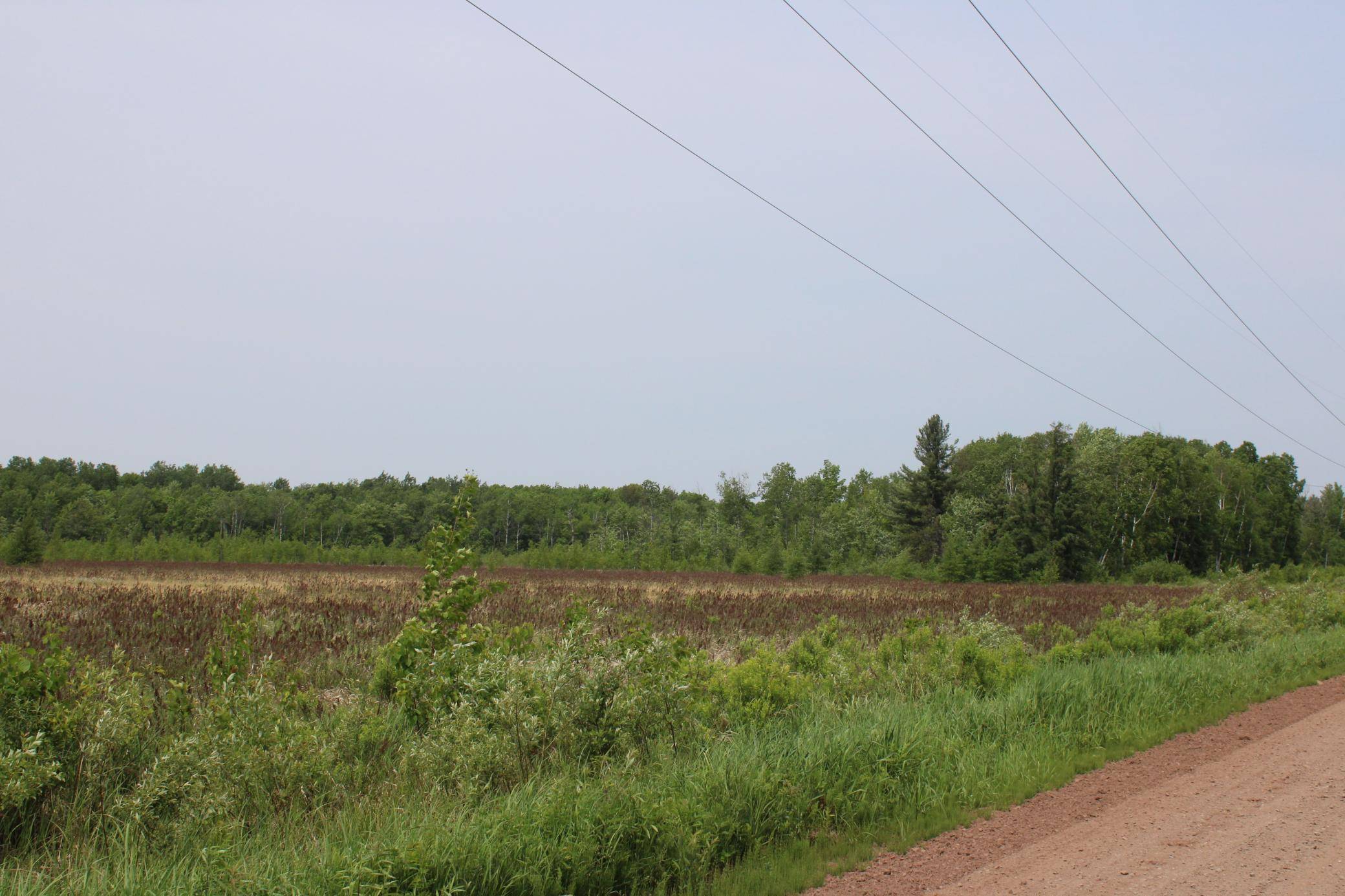 Munch Twp, MN 55063,Address not disclosed