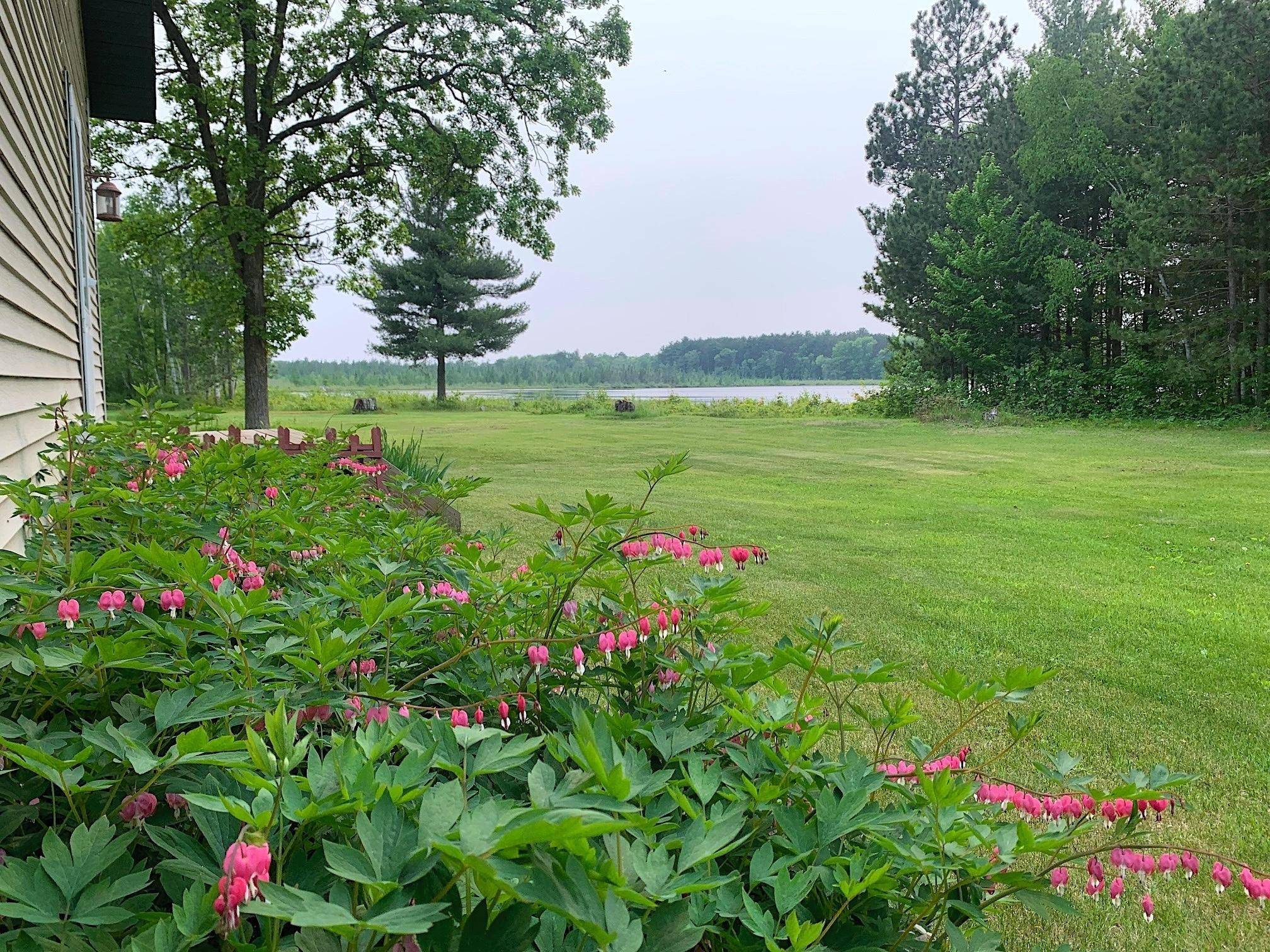 Farm Island Twp, MN 56431,28457 US Highway 169