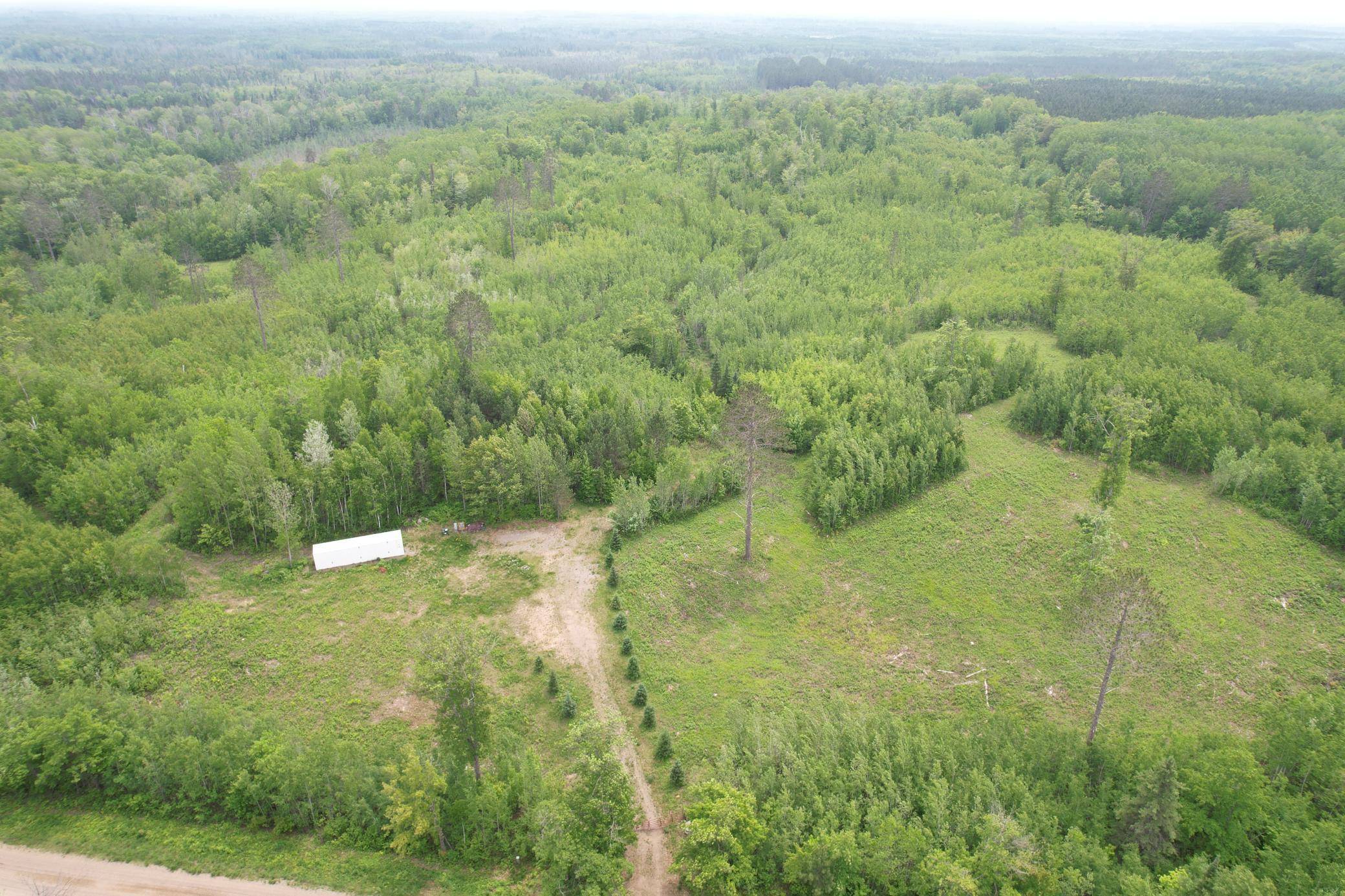 Swan River, MN 55784,18131 County Road 433