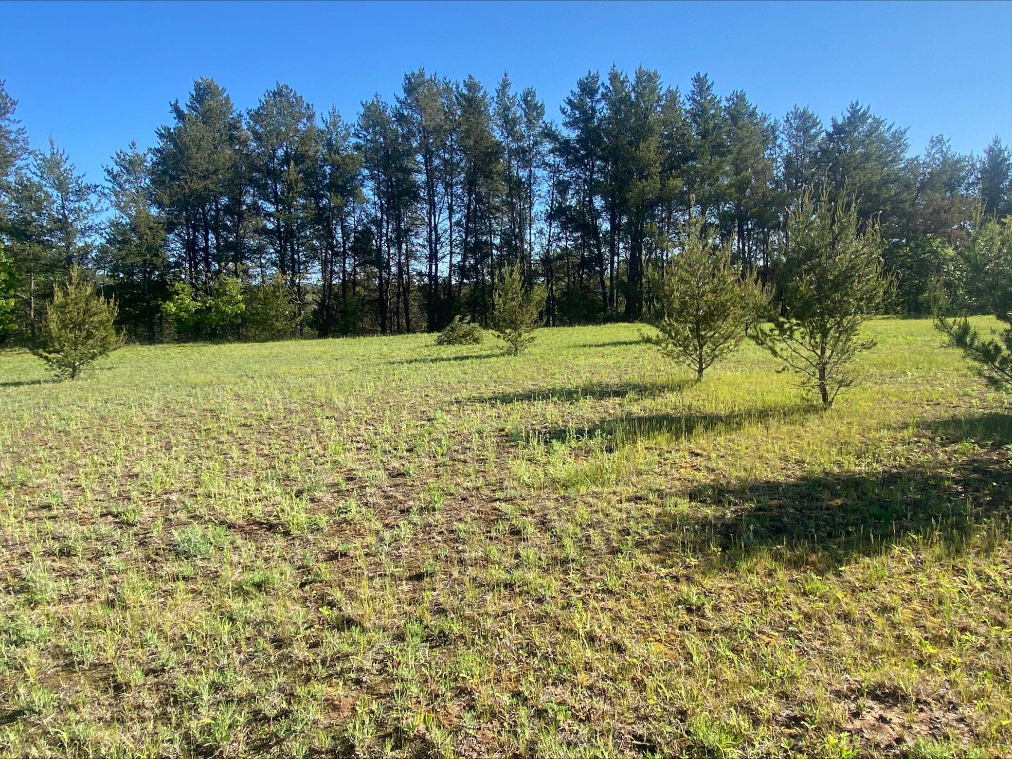 Chippewa Falls, WI 54729,Lot 6 Nelson RD