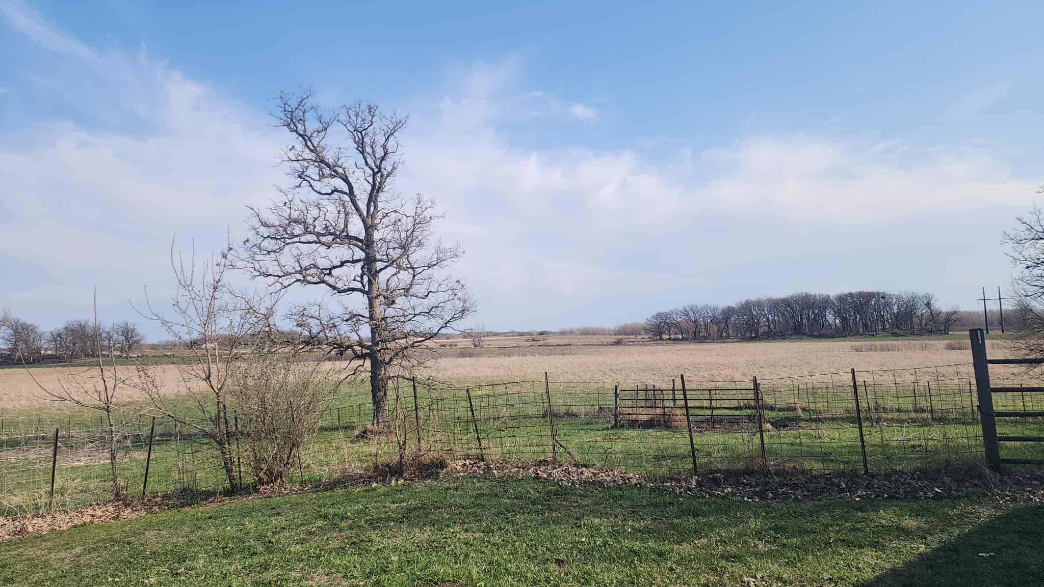 Glenville, MN 56036,79317 113th ST