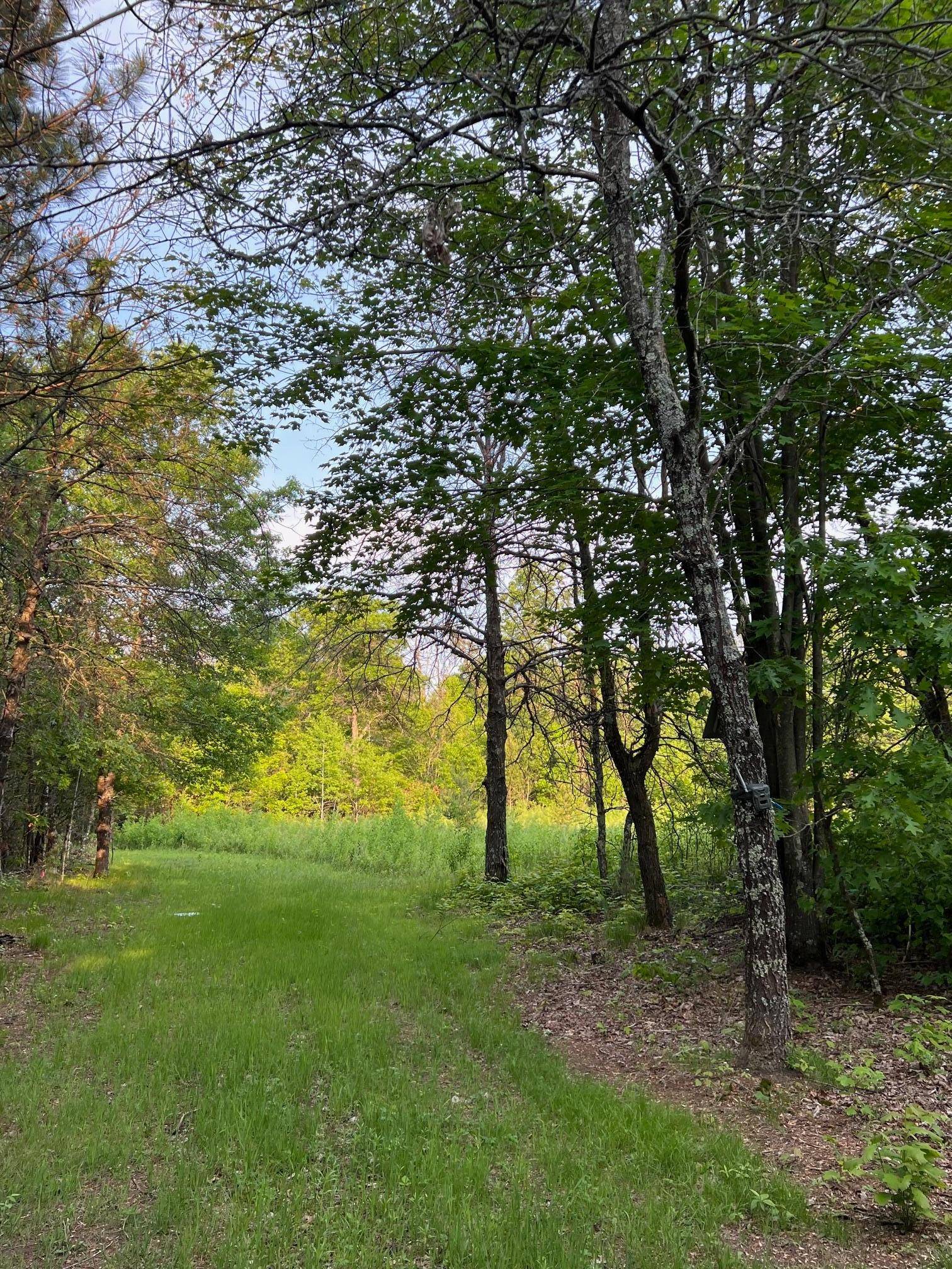 Grantsburg Twp, WI 54840,xxxxx Galesky RD