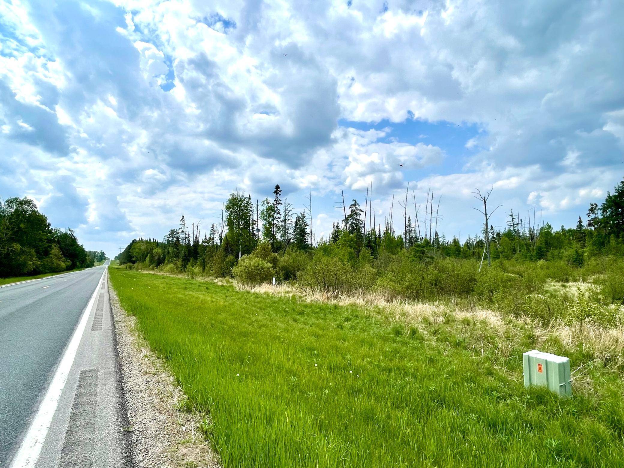 Bemidji Twp, MN 56601,TBD N Plantangenet RD SE
