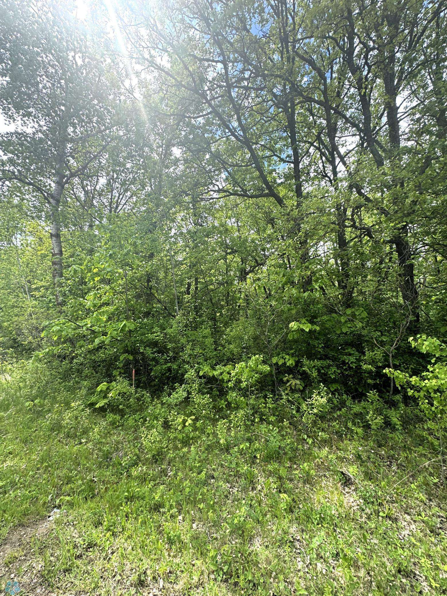 Little Elbow Twp, MN 56589,(Lot 6) TBD Ponderosa LN