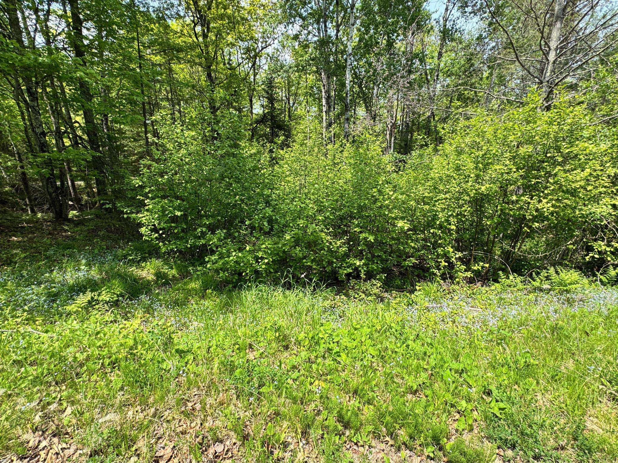 Lapointe, WI 54850,438 Minnewawa DR
