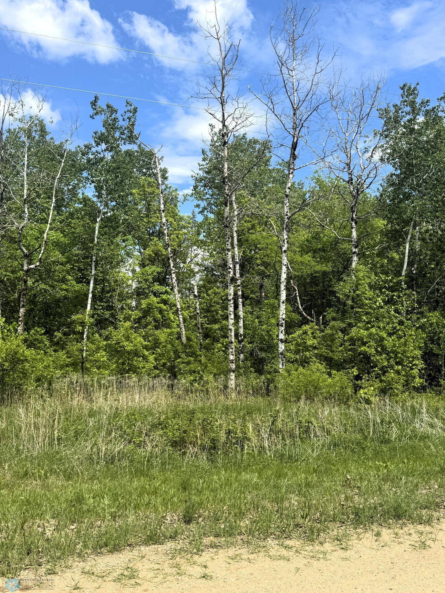 Little Elbow Twp, MN 56589,(Lot 3) TBD Ponderosa LN