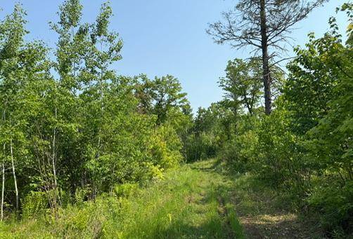 Dairyland, WI 54830,TBD County Road T