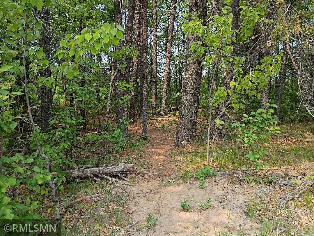 Pike Bay Twp, MN 56633,TBD 63rd AVE NW