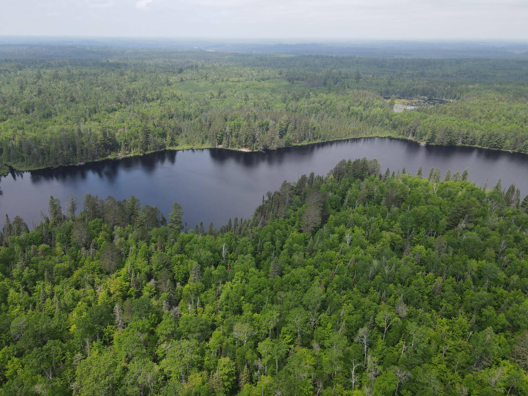 Cook, MN 55723,TBD Holm Logging RD
