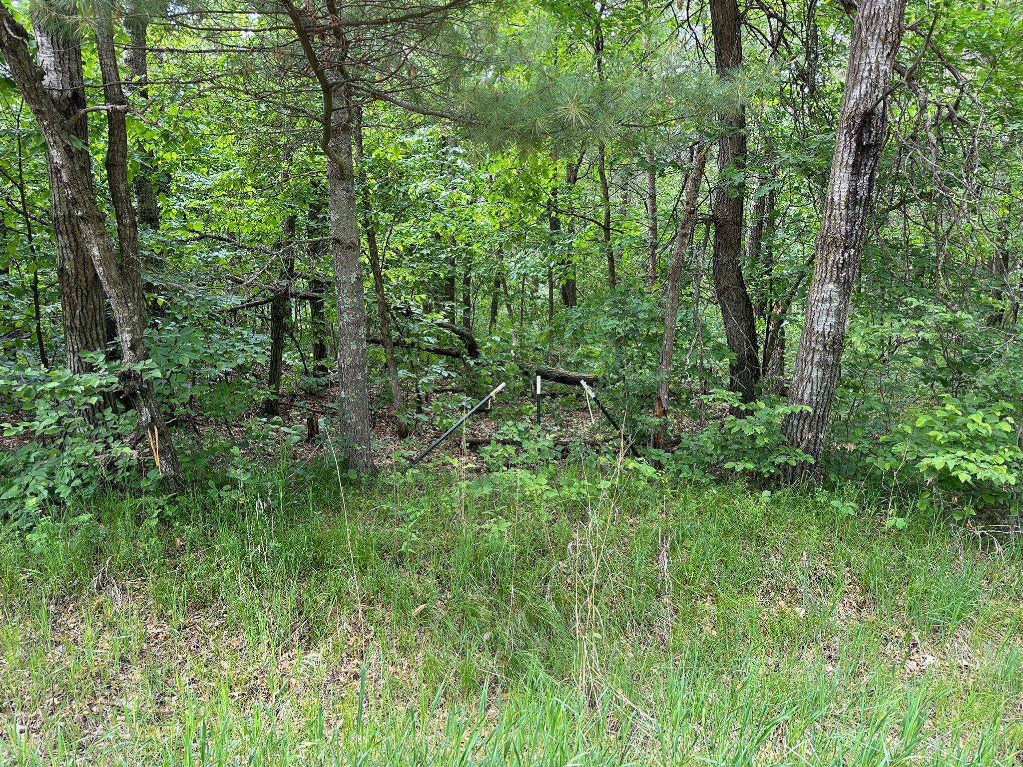 Moran Twp, MN 56438,TBD Ode Circle