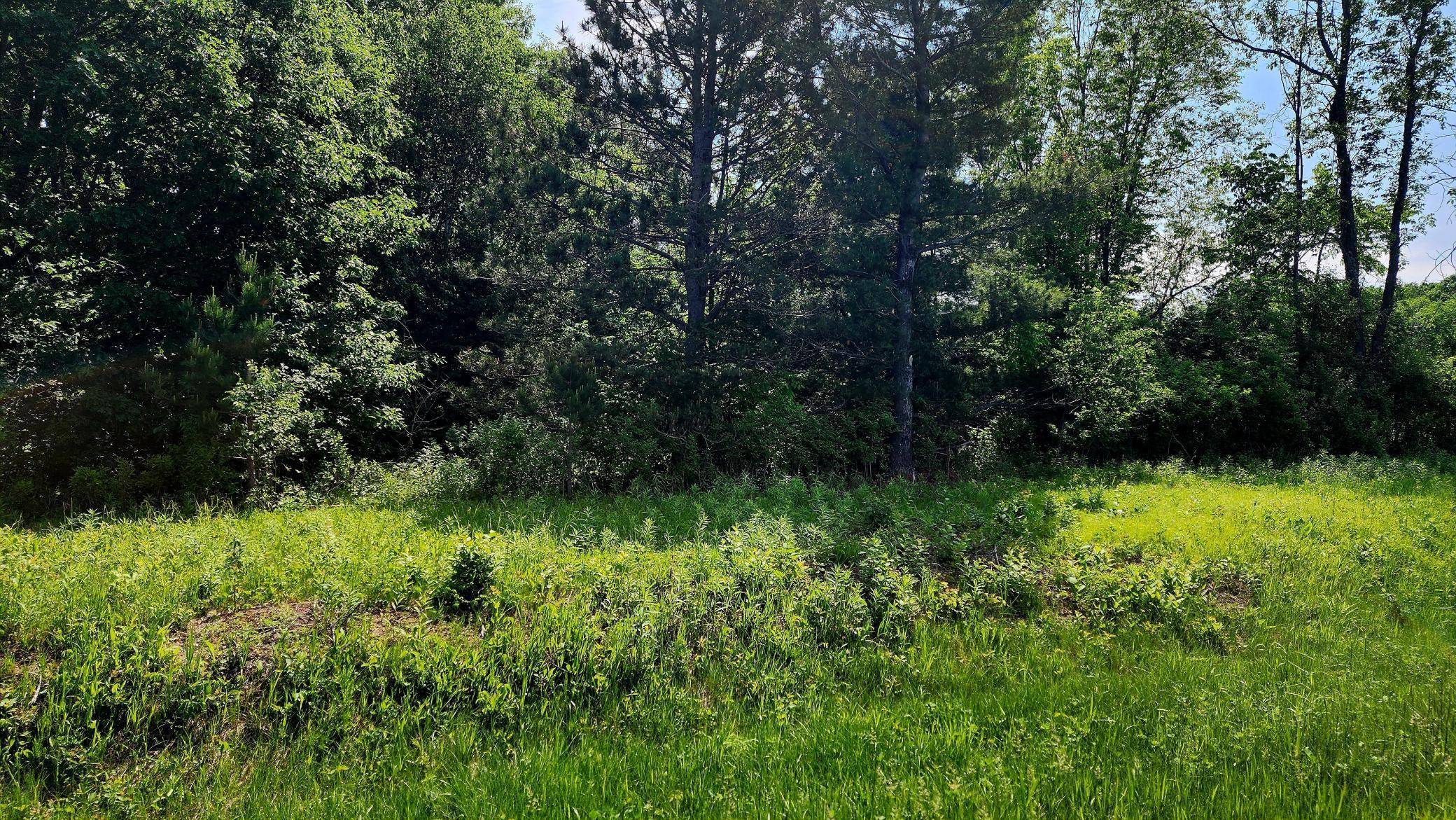Black Brook Twp, WI 54001,TBD 95th ST