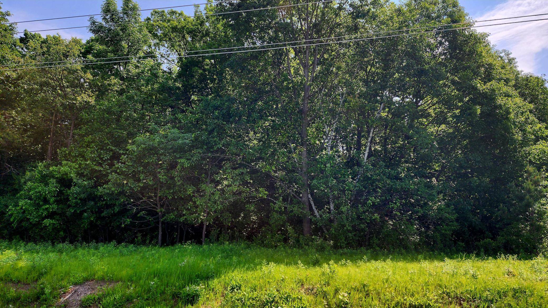 Black Brook Twp, WI 54001,TBD 95th ST