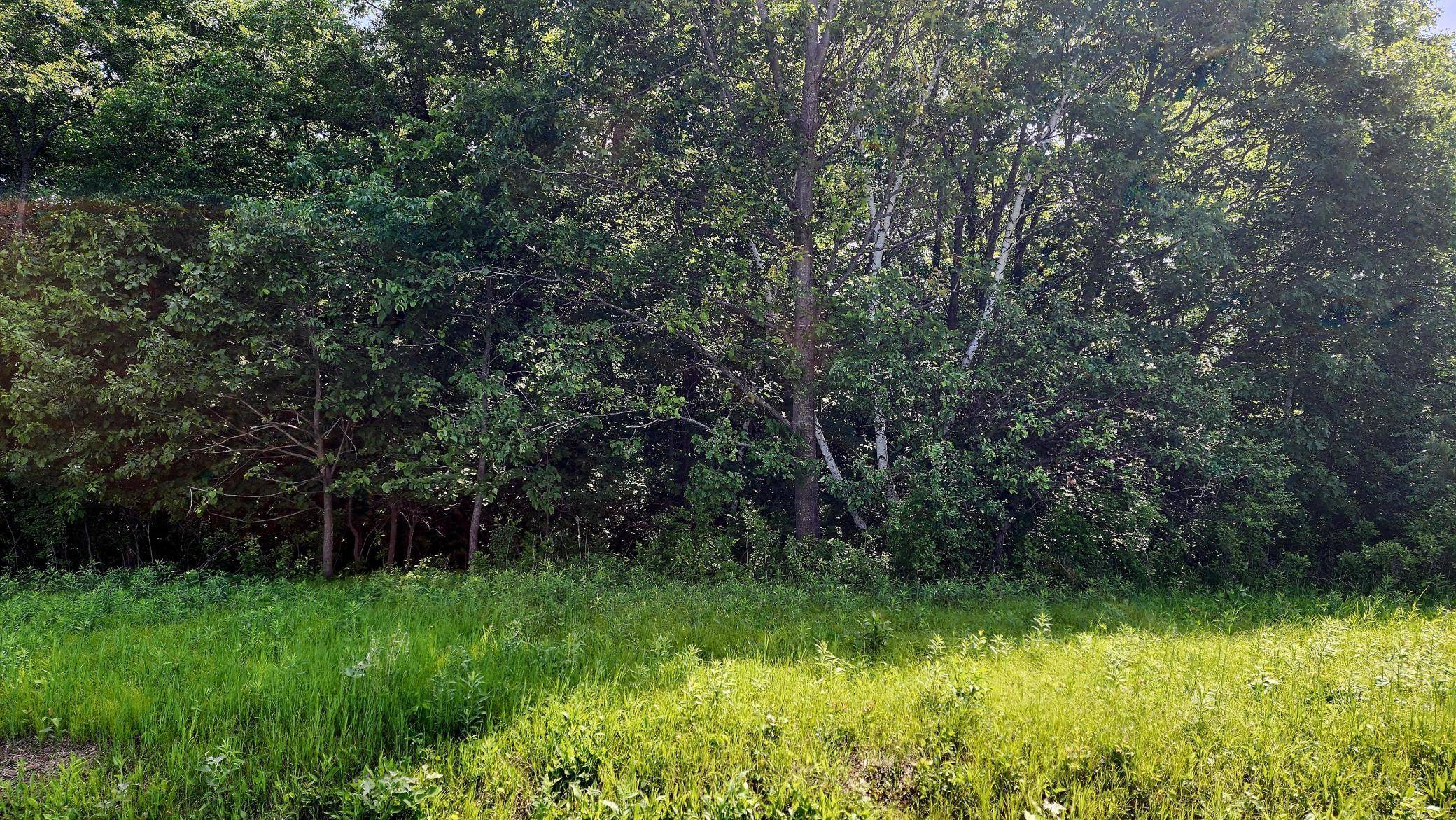 Black Brook Twp, WI 54001,TBD 95th ST