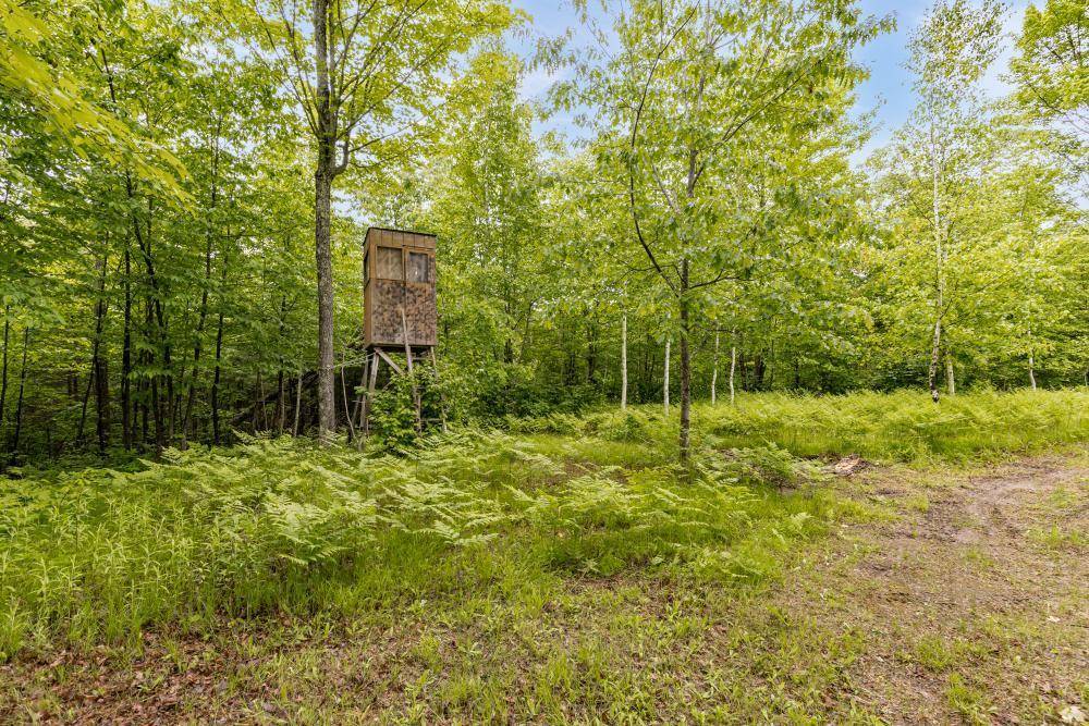 Solon Springs, WI 54873,7985 E County Road A