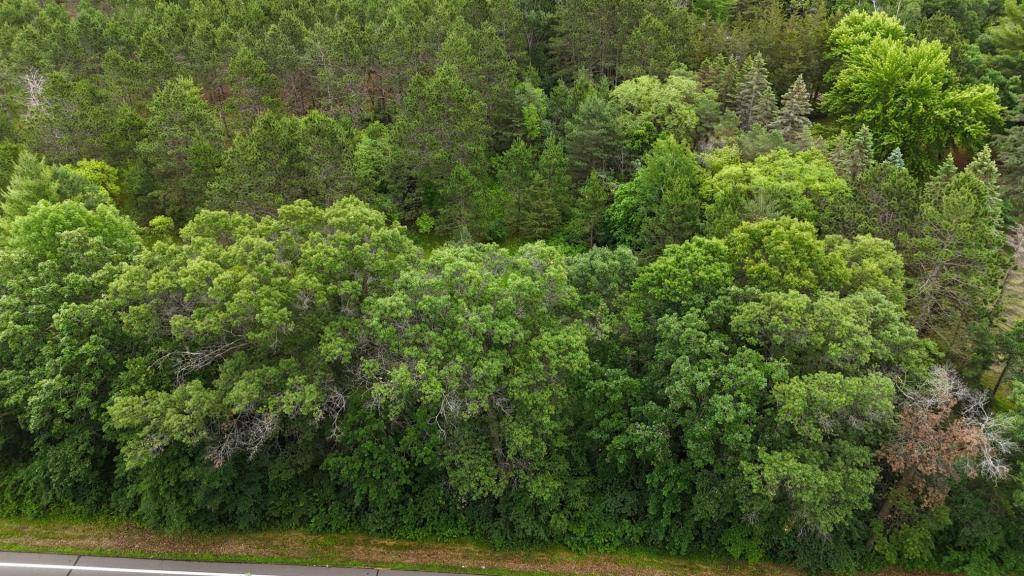 Little Falls Twp, MN 56345,xxxx Hillton RD