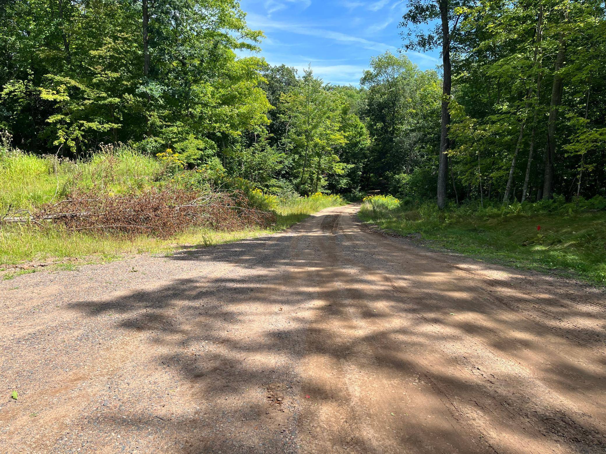 Milltown, WI 54810,Lot 6 186th AVE