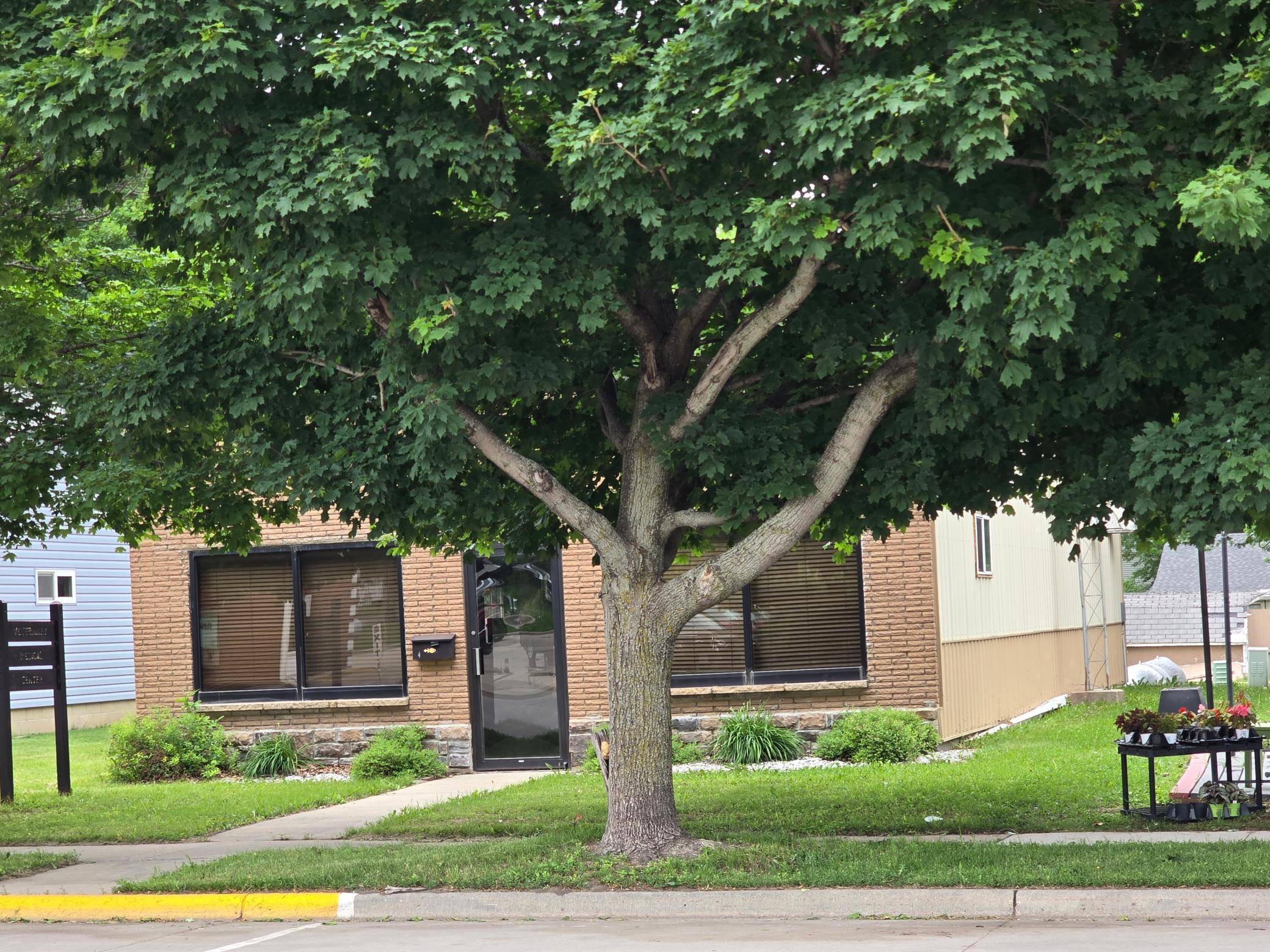 Adrian, MN 56110,311 Maine AVE