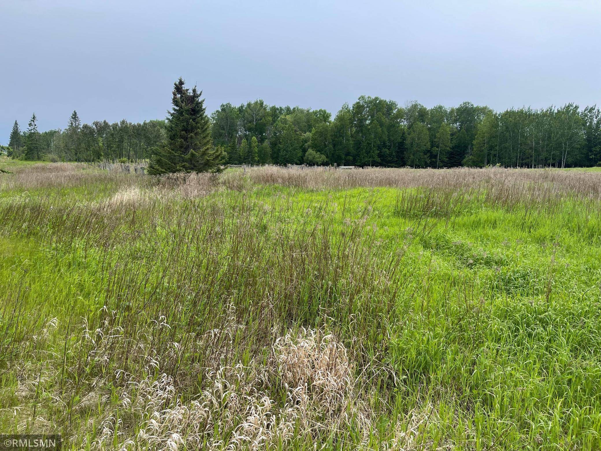 Trout Lake Twp, MN 55709,25617 North RD