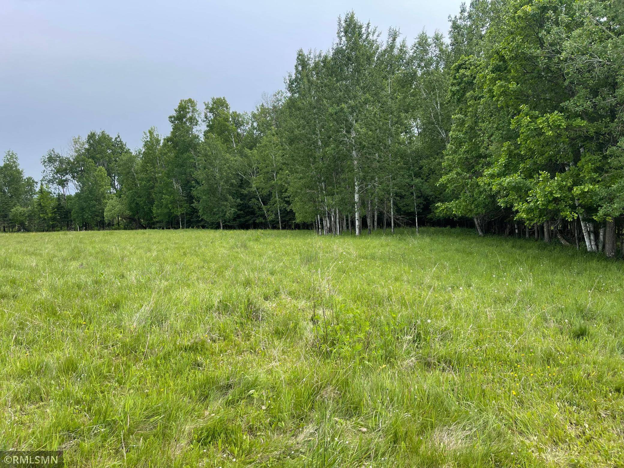 Trout Lake Twp, MN 55709,25617 North RD
