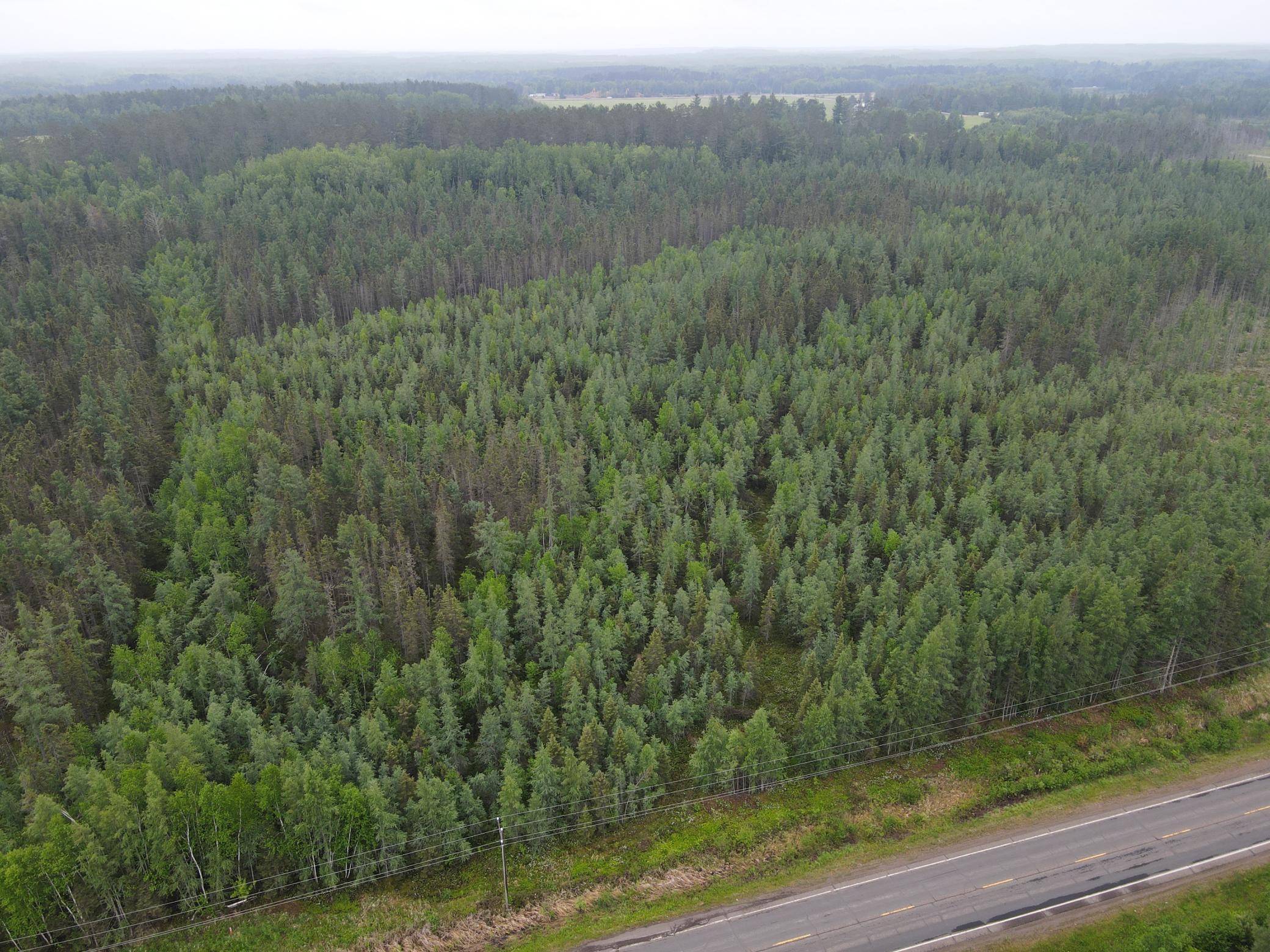 Twin Lakes Twp, MN 55720,TBD Moorhead RD