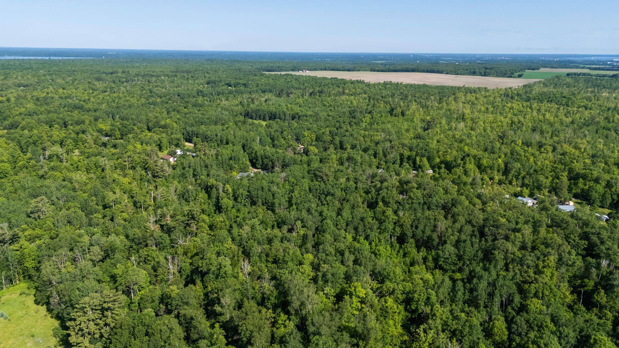 Helga Twp, MN 56601,24589 498th ST