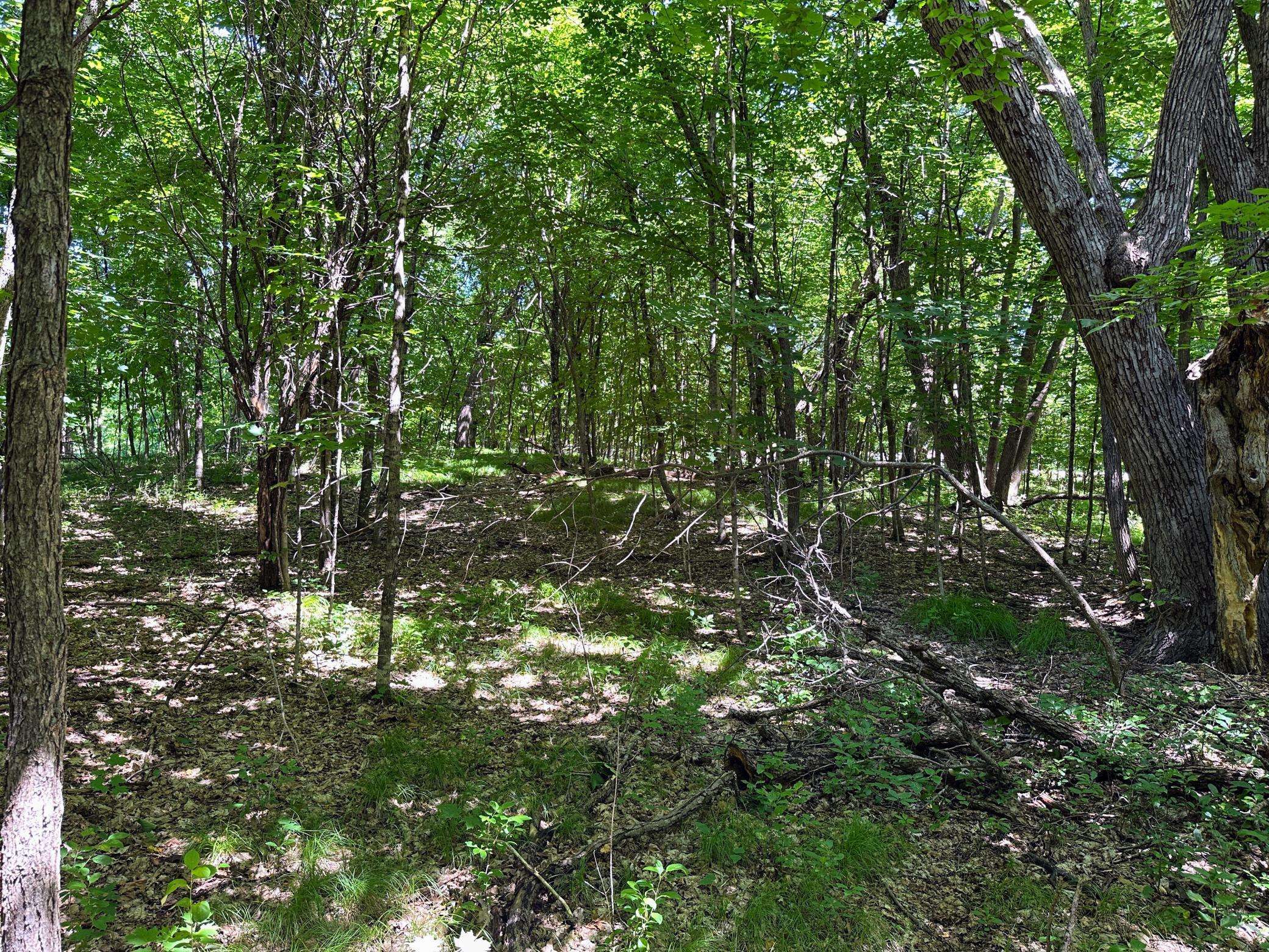 Everts Twp, MN 56515,32xxx Smokey LN