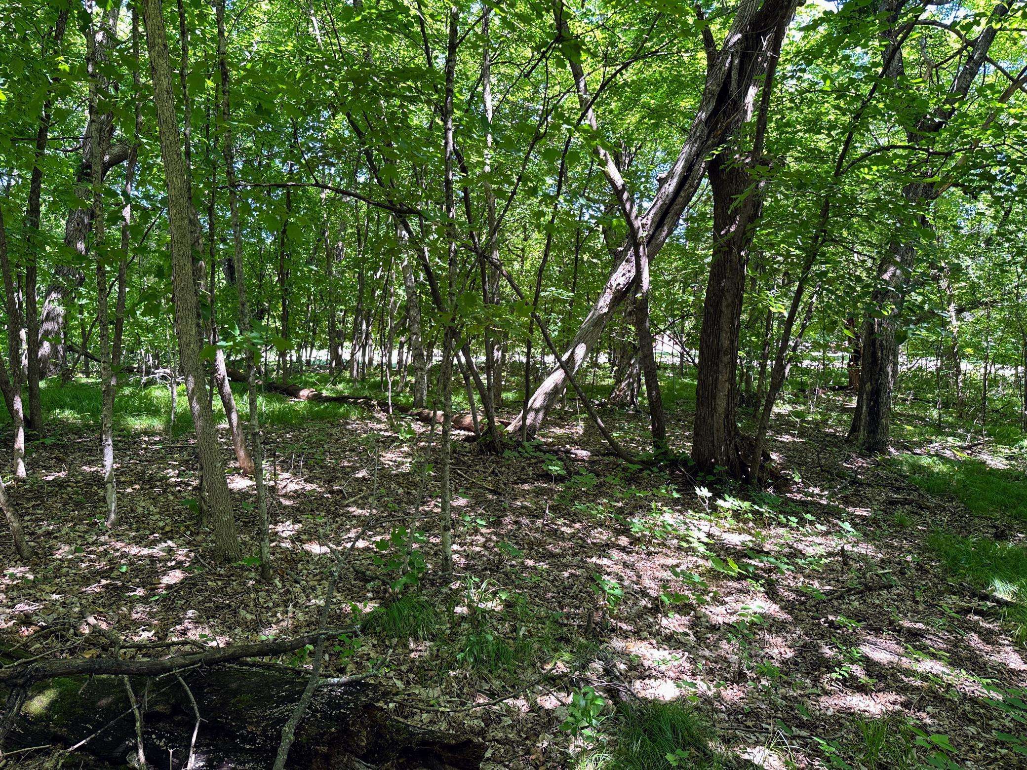 Everts Twp, MN 56515,32xxx Smokey LN
