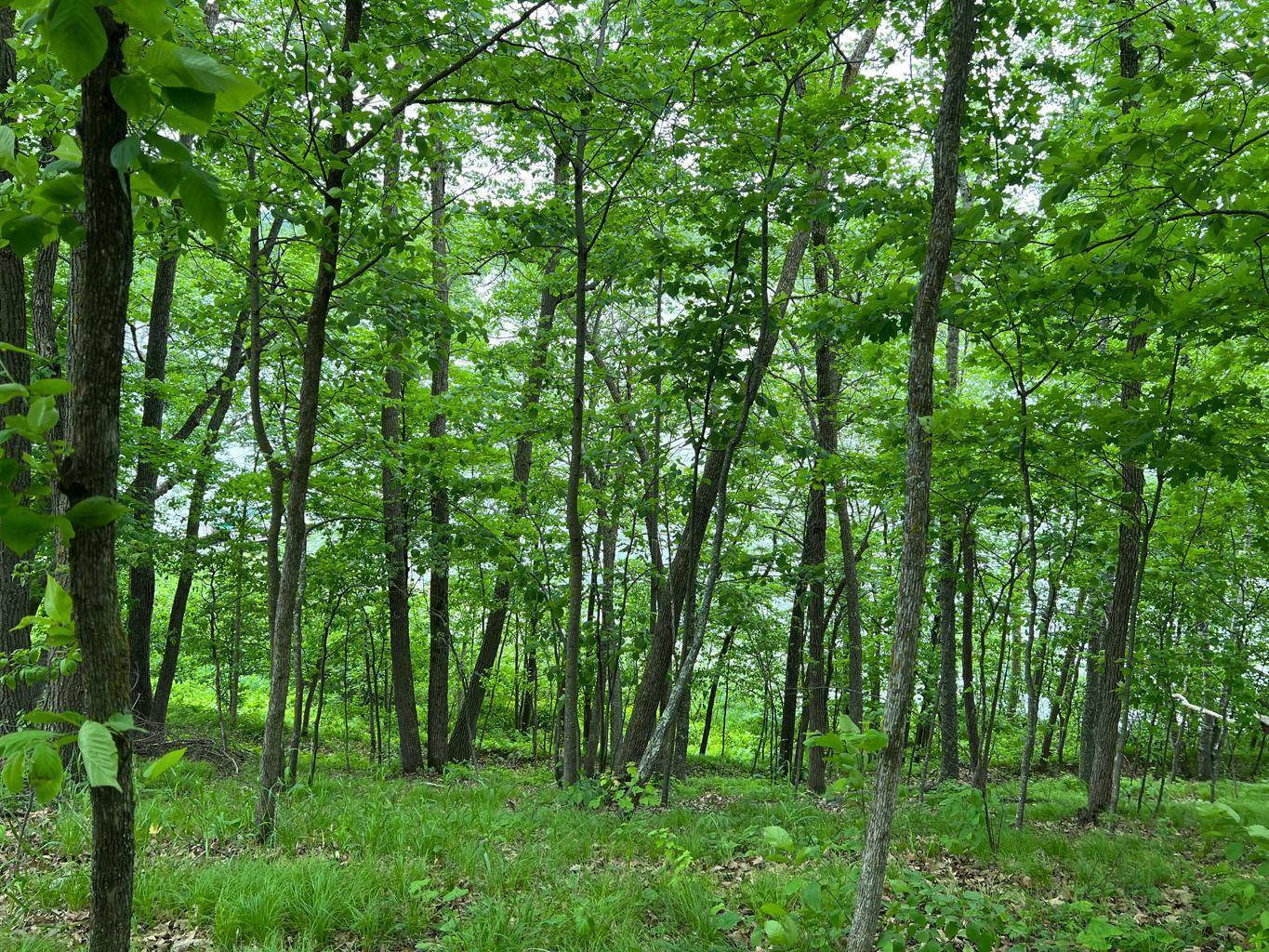 Crooked Lake Twp, MN 56662,5585 Woods Bay DR NE