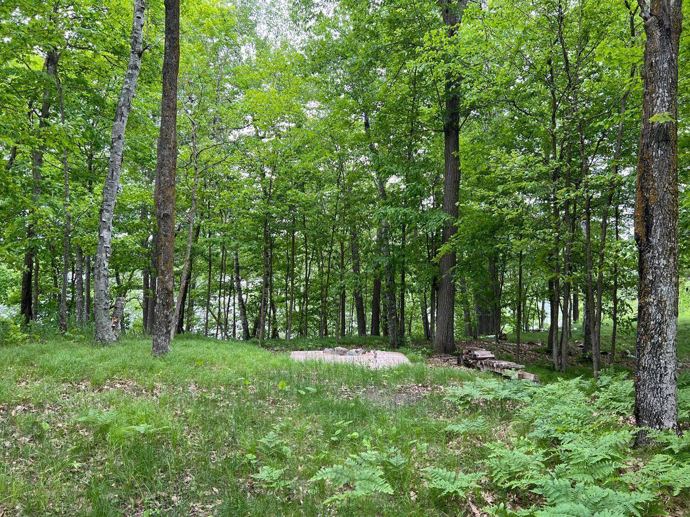 Crooked Lake Twp, MN 56662,5585 Woods Bay DR NE