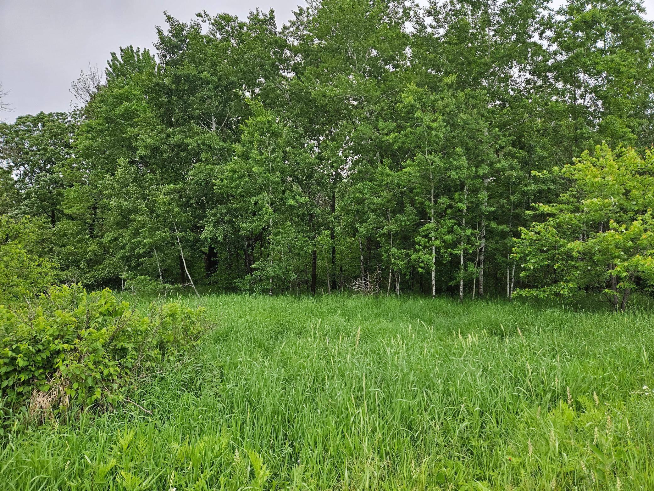 Sioux Creek Twp, WI 54728,20 acres 22 1/4 ST