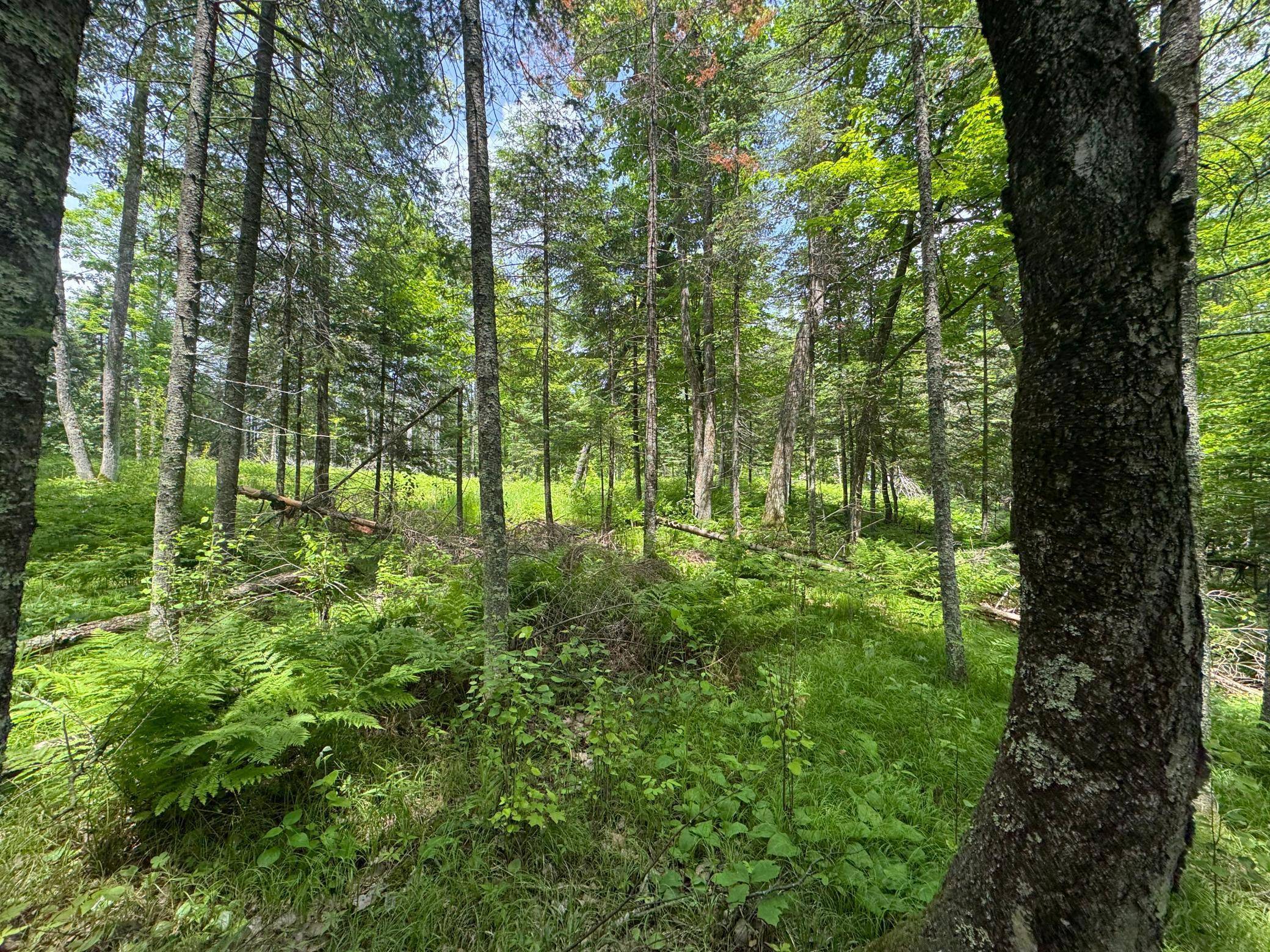 Barnum, MN 55707,xxx Crystal Lake RD