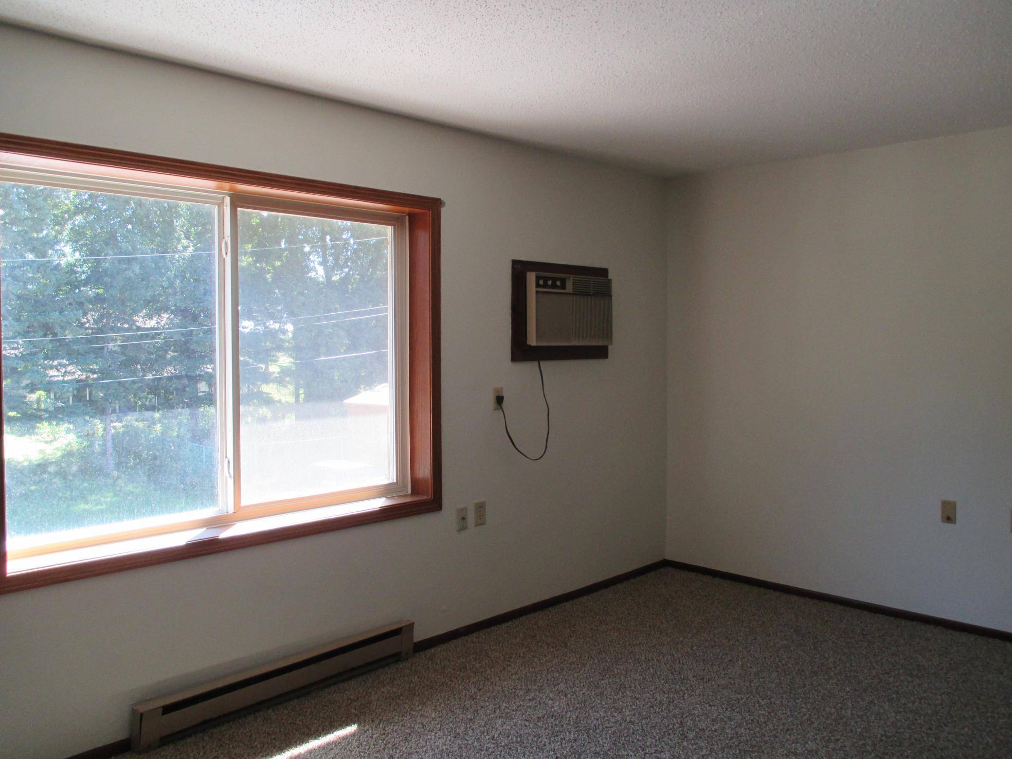 Lake Lillian, MN 56253,911 Lakeview ST #8