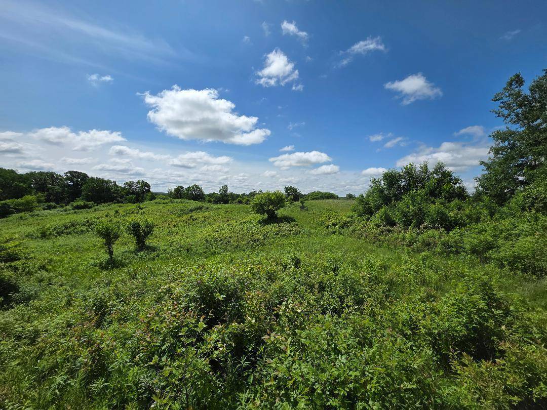 Cady Twp, WI 54027,3014 County RD N