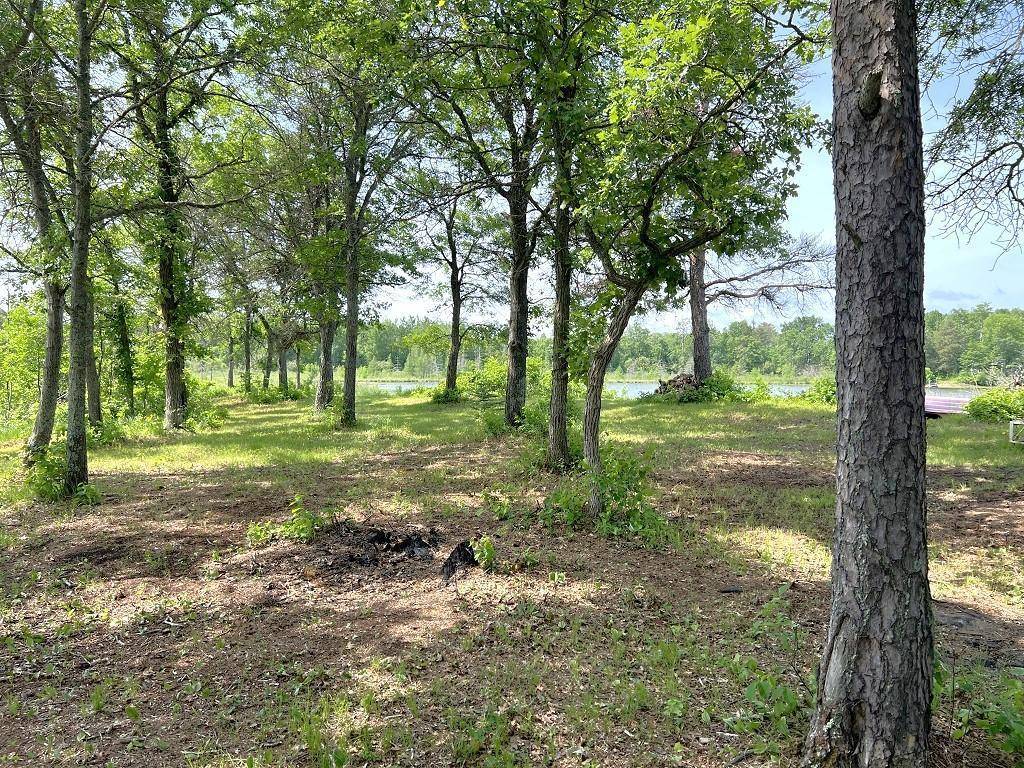 Ponsford, MN 56575,34056 Basswood RD