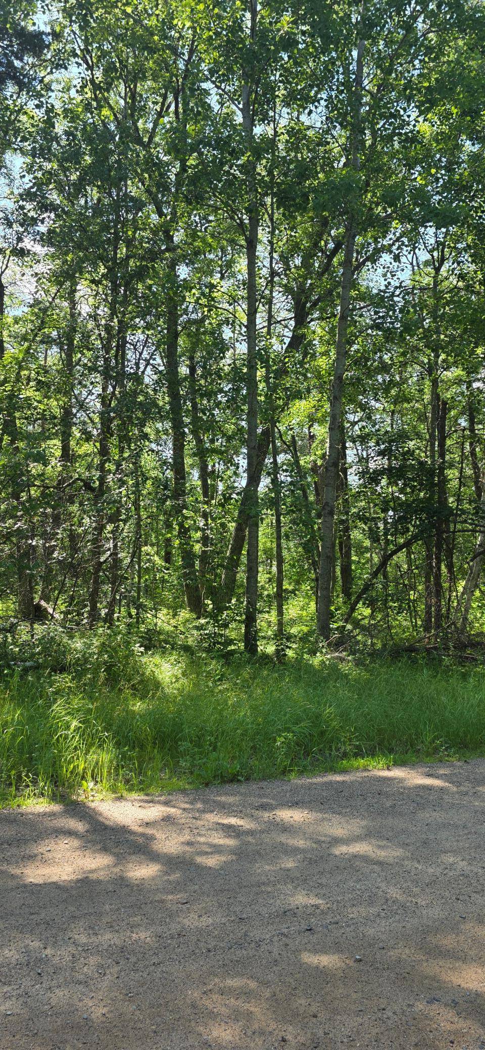 Breezy Point, MN 56472,TBD Cedar ST