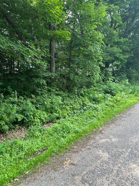 Balsam Lake, WI 54824,XXX 170th AVE