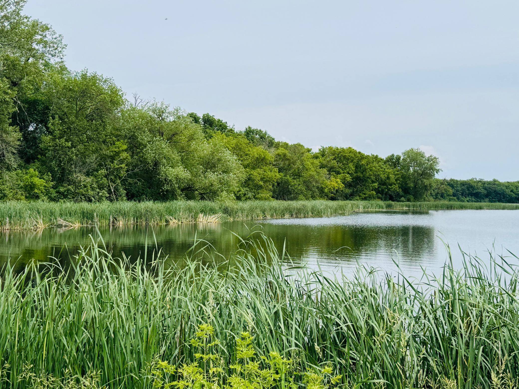 Norway Lake Twp, MN 56289,21631 Kandi-Swift RD NW