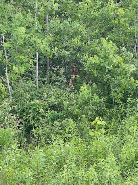 Hinckley, MN 55037,TBD Parcel I Fox RD