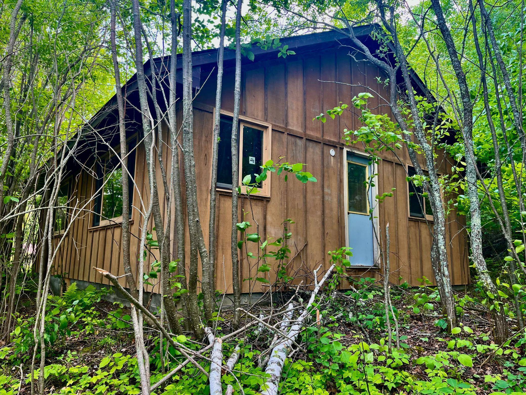 Wabana Twp, MN 55744,111 Wakeman Bay RD
