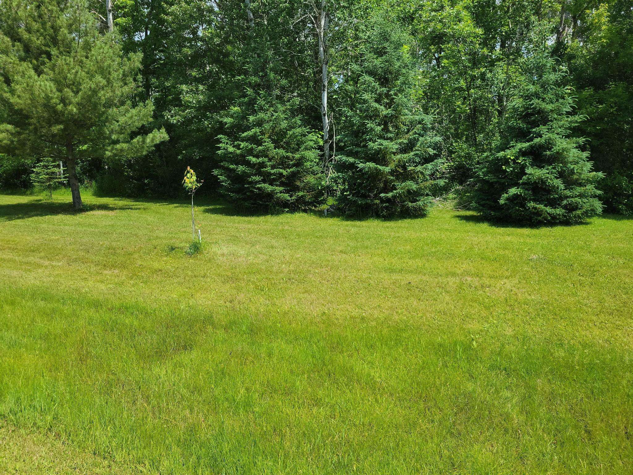 Randall, MN 56475,TBD W Little Elk DR