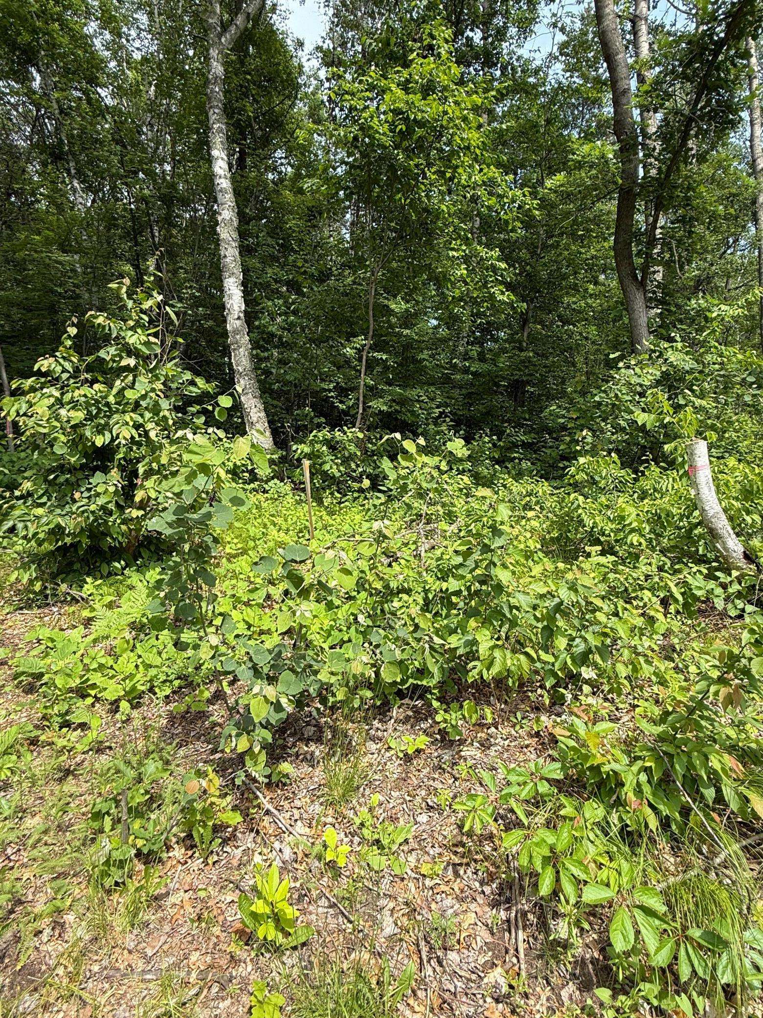 Sylvan Twp, MN 56401,12301 Alliance WAY SW