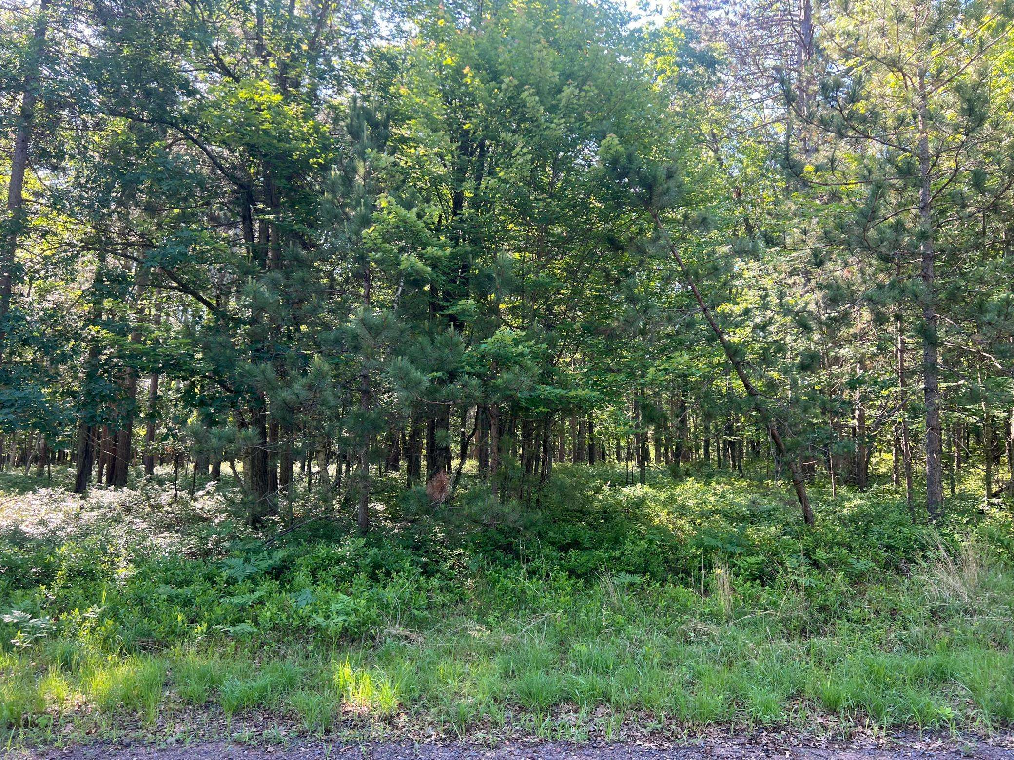 Danbury, WI 54830,Lot 31 Great Bear Passage